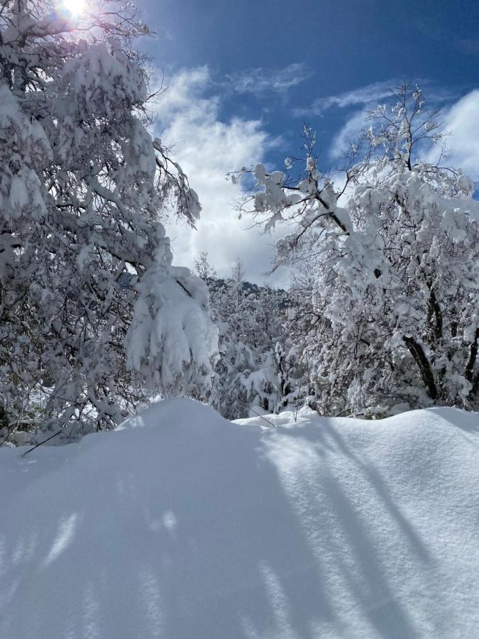 Lodge Alto Cordillera Las Trancas