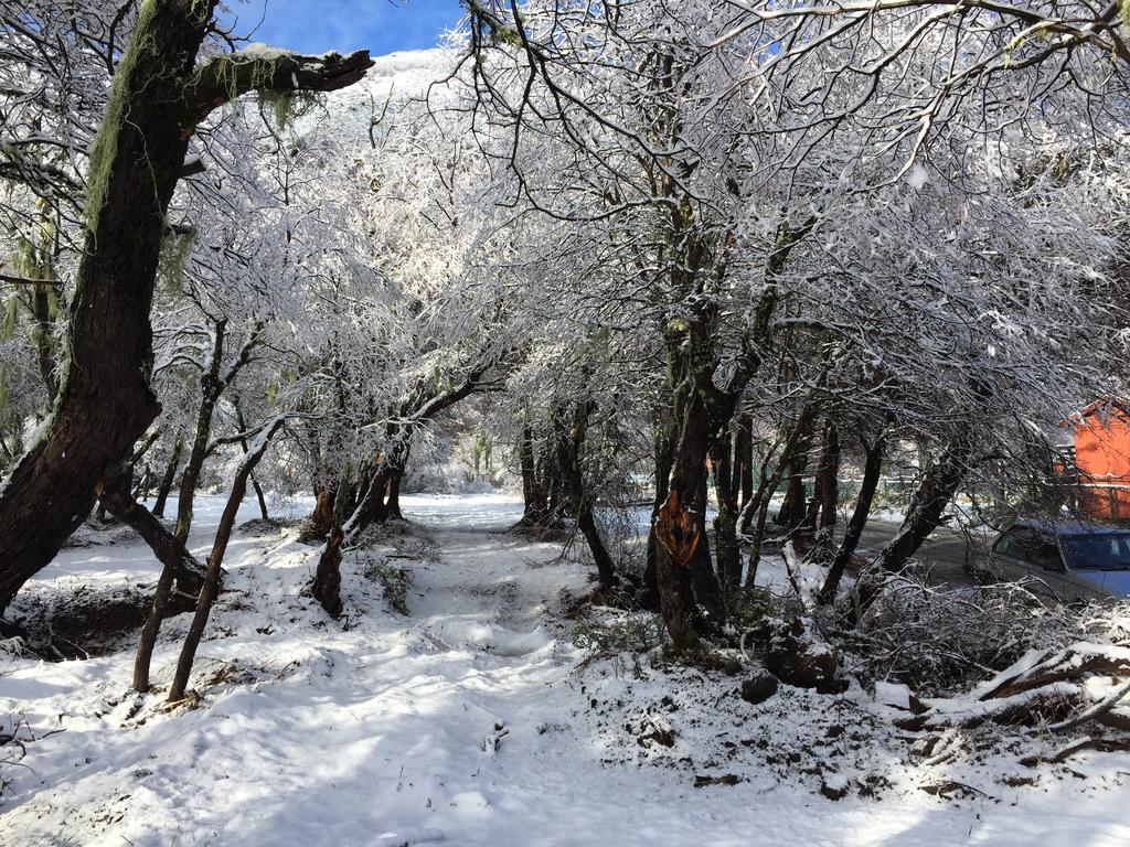 Lodge Alto Cordillera Las Trancas