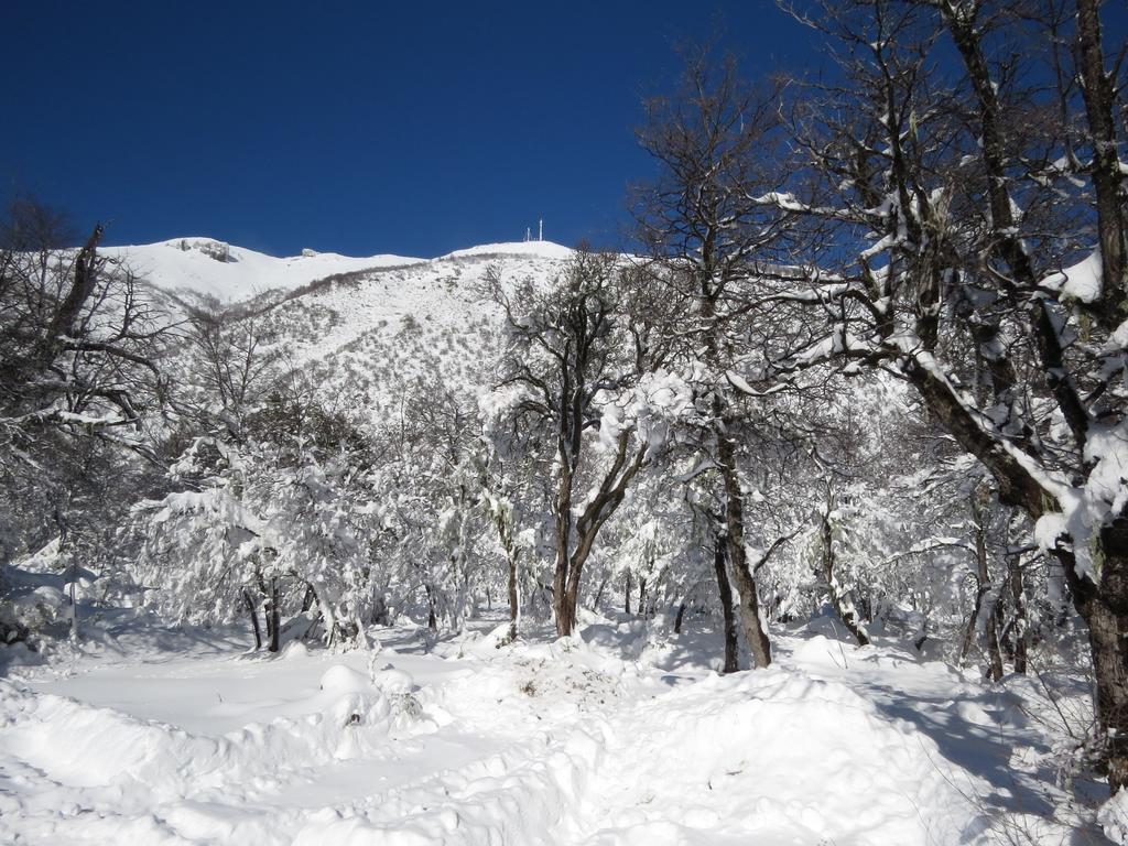 Alto Cordillera Lodge *